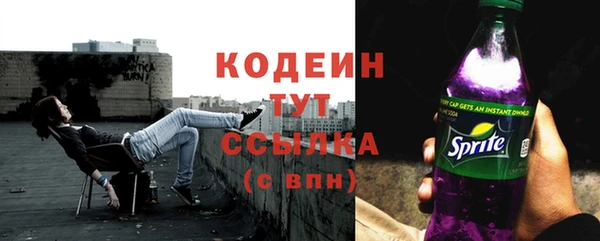 тгк Новозыбков