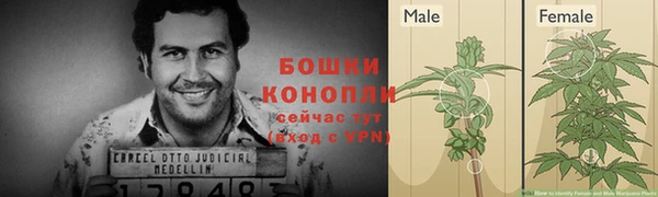 тгк Новозыбков
