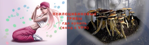 тгк Новозыбков