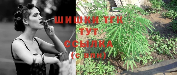 тгк Новозыбков
