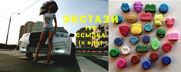 тгк Новозыбков